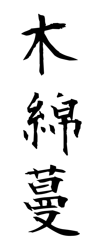 m50081木綿蔓もめんづる