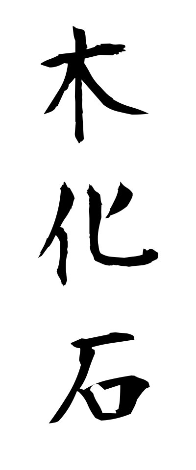 m50103木化石もくかせき