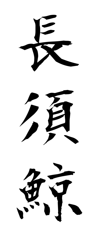 n10163長須鯨ながすくじら