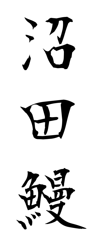 n30012沼田鰻ぬたうなぎ