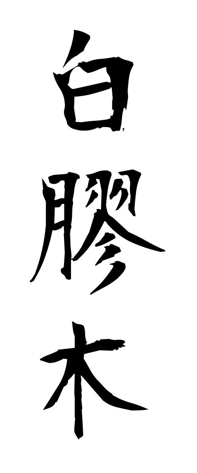 n30028白膠木ぬるで