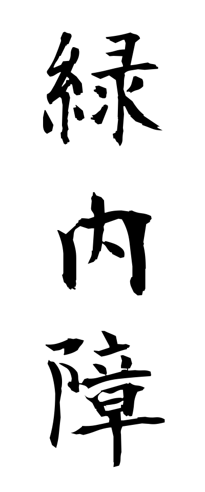 r20385緑内障りょくないしょう