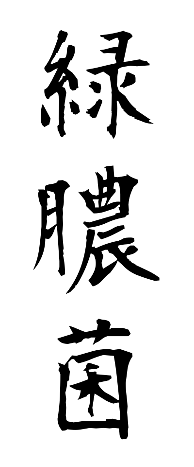 r20386緑膿菌りょくのうきん