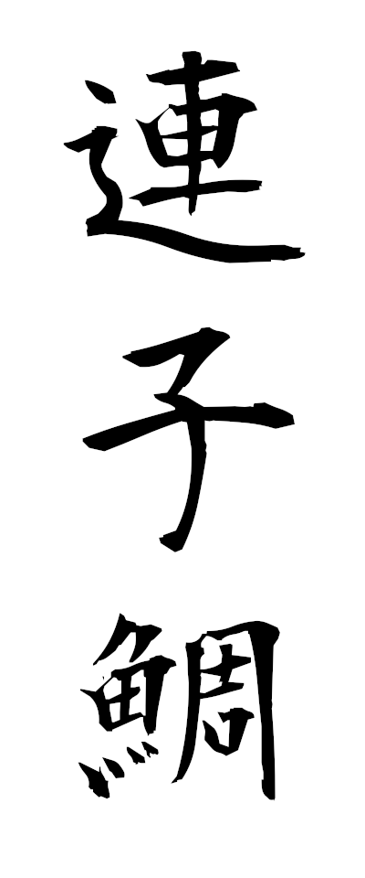 r40005連子鯛れんこだい