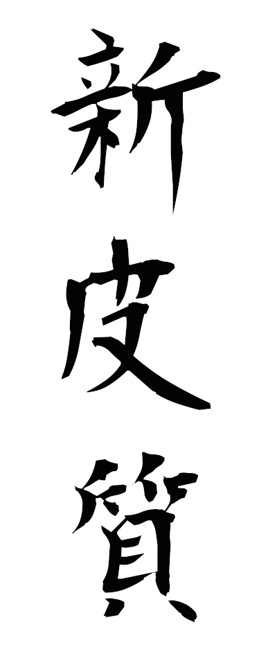 s20302新皮質しんひしつ