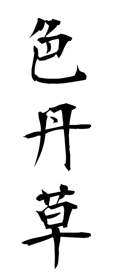 s20966色丹草しこたんそう