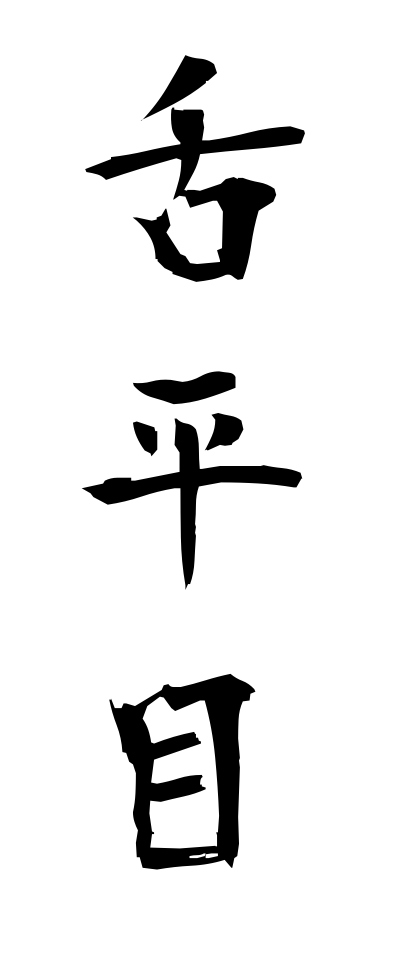 s21145舌平目したびらめ