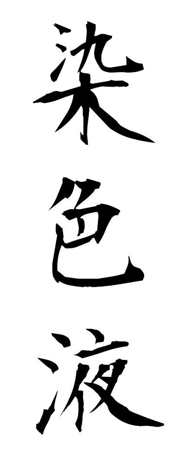 s40033染色液せんしょくえき