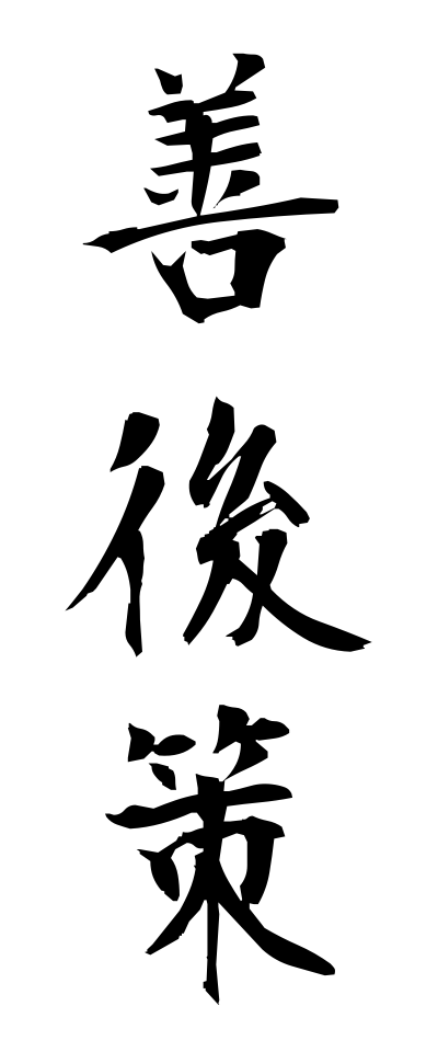s40207善後策ぜんごさく