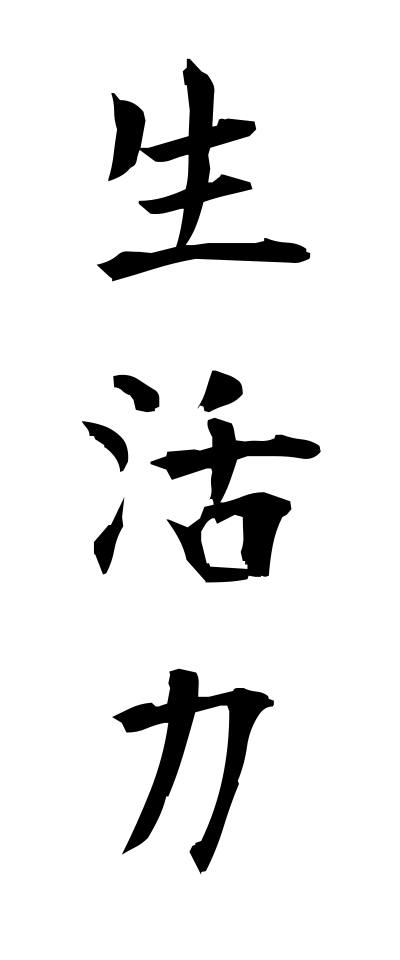 s40323生活力せいかつりょく