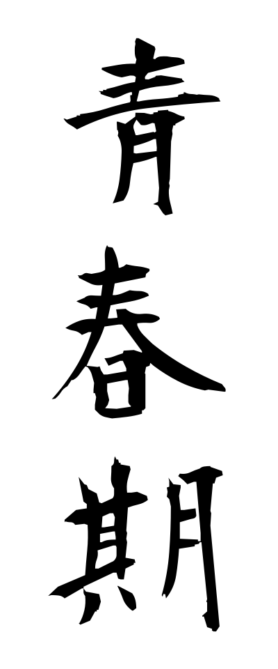 s40422青春期せいしゅんき