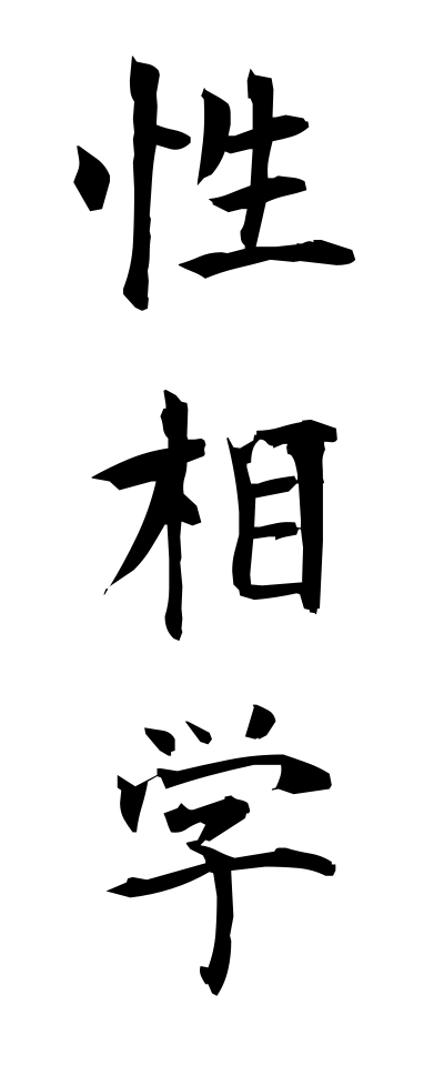 s40461性相学せいそうがく