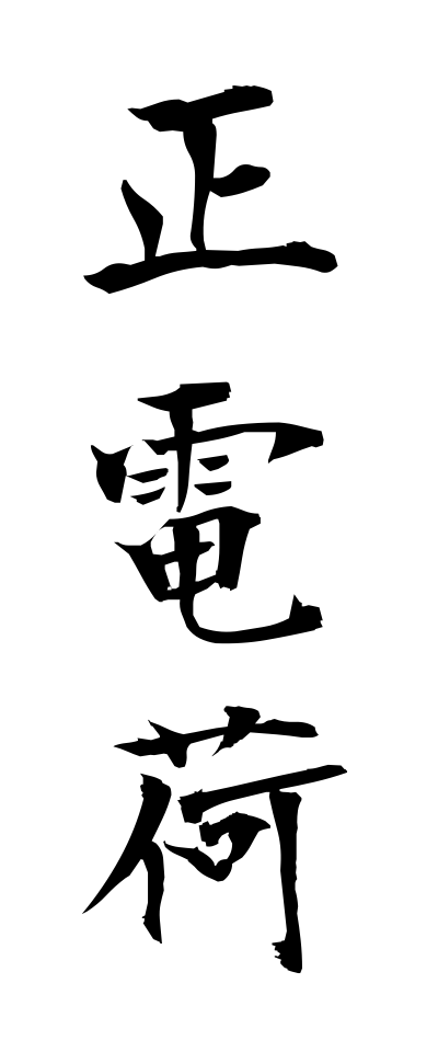 s40494正電荷せいでんか