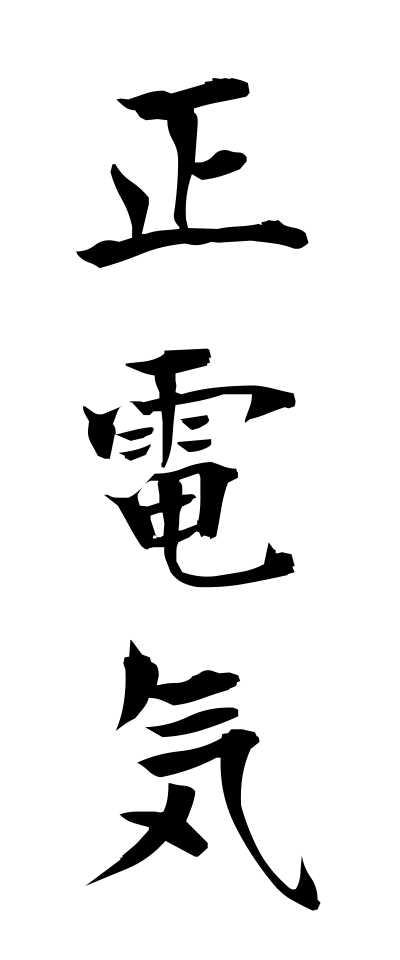 s40497正電気せいでんき