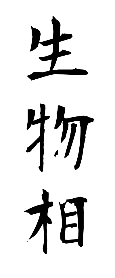 s40542生物相せいぶつそう