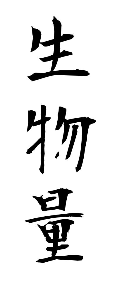 s40543生物量せいぶつりょう