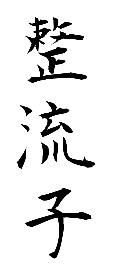 s40593整流子せいりゅうし