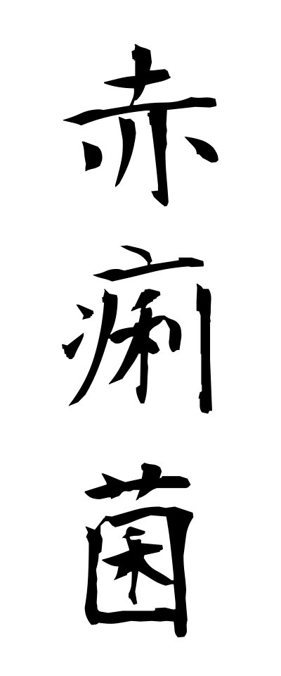 s40676赤痢菌せきりきん