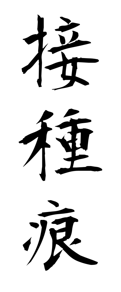 s40733接種痕せっしゅこん