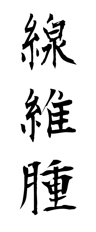 s40799線維腫せんいしゅ