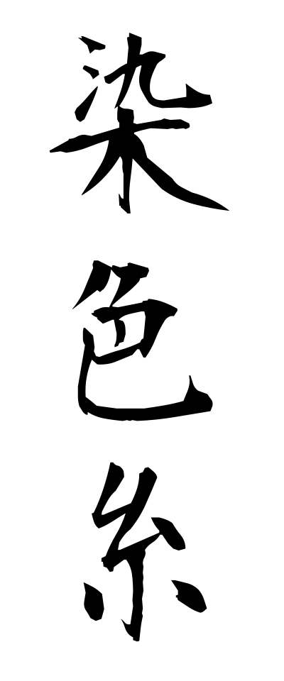 s40887染色糸せんしょくし