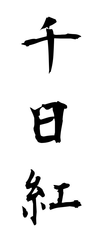 s40953千日紅せんにちこう