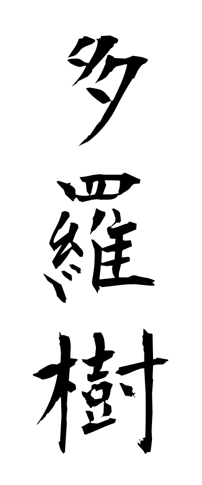 t10695多羅樹たらじゅ