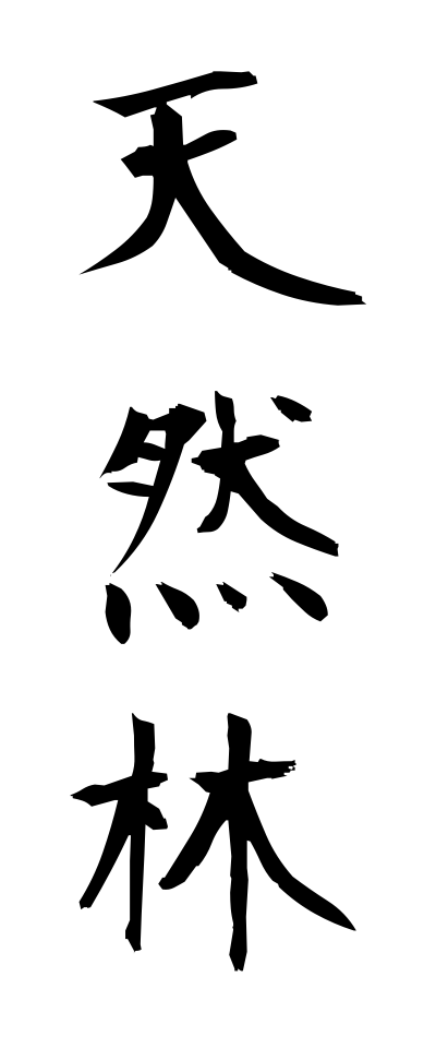 t40560天然林てんねんりん