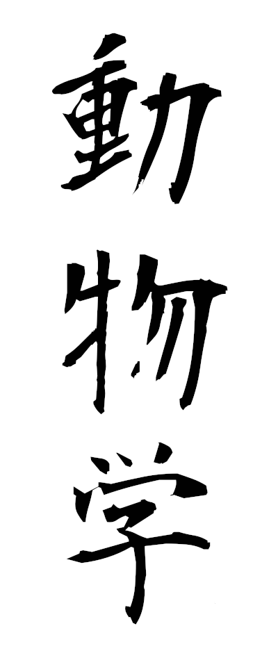 t50565動物学どうぶつがく