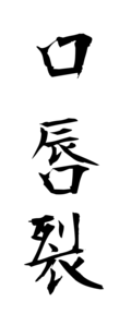 口唇裂