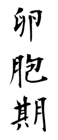 卵胞期