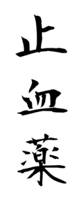 止血薬